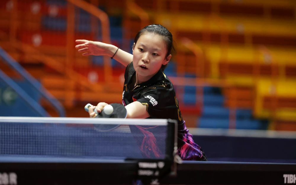 罚的事例并 罚的事例并