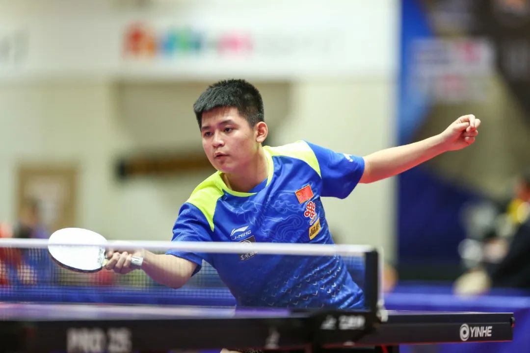 草坪质量成 草坪质量成