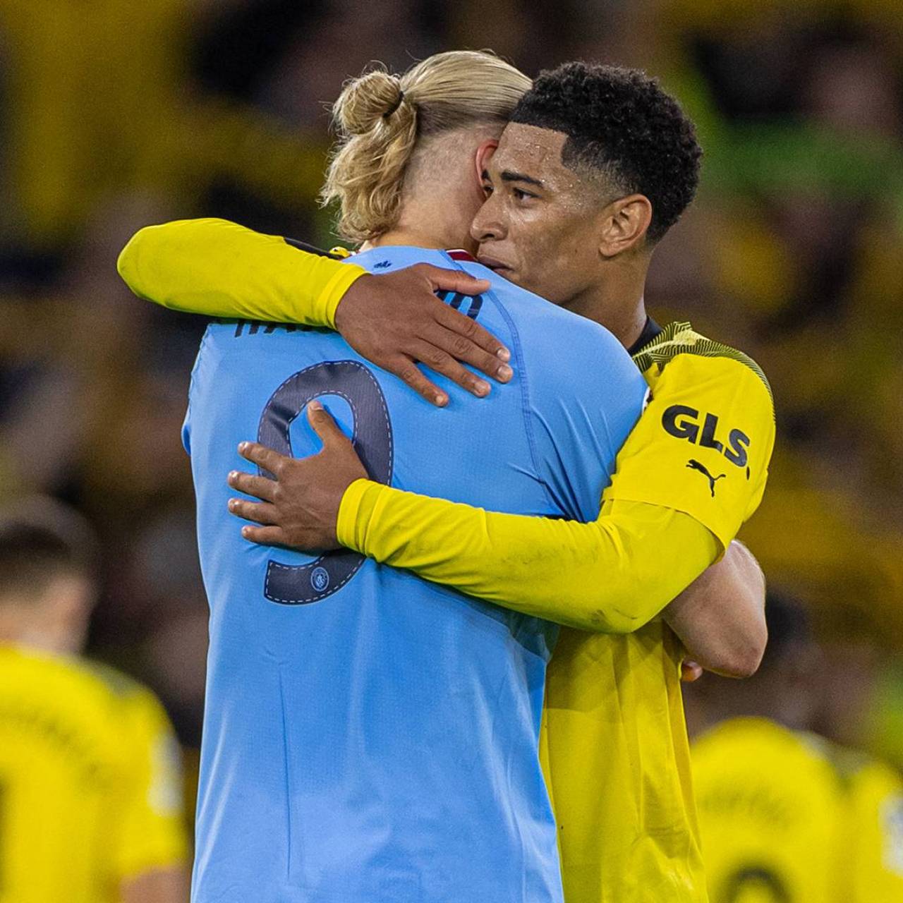 联盟内关键 联盟内关键