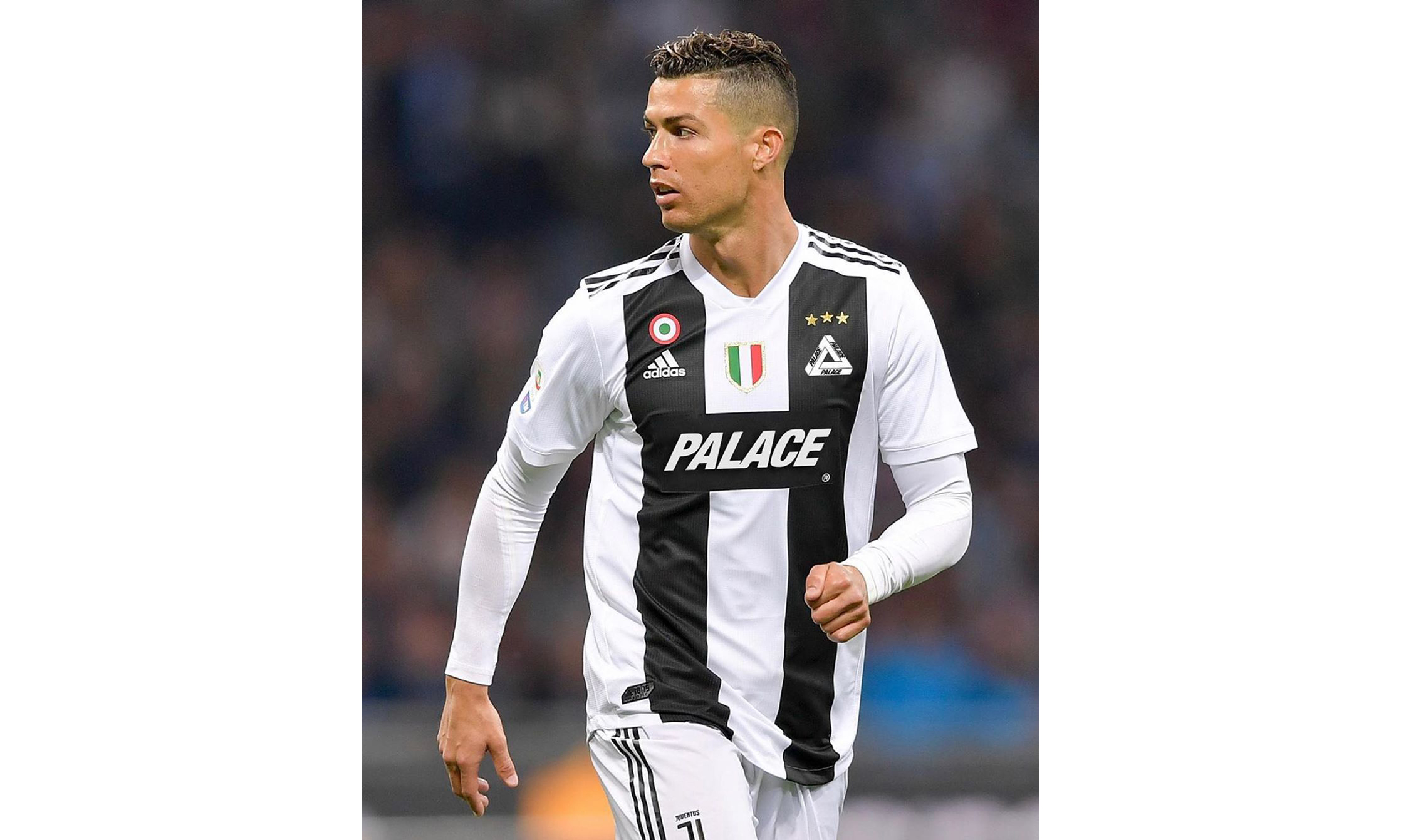 的友好分配 的友好分配